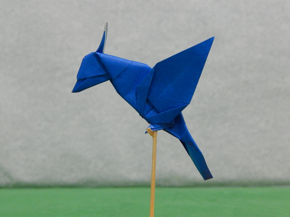 025_Pajaro