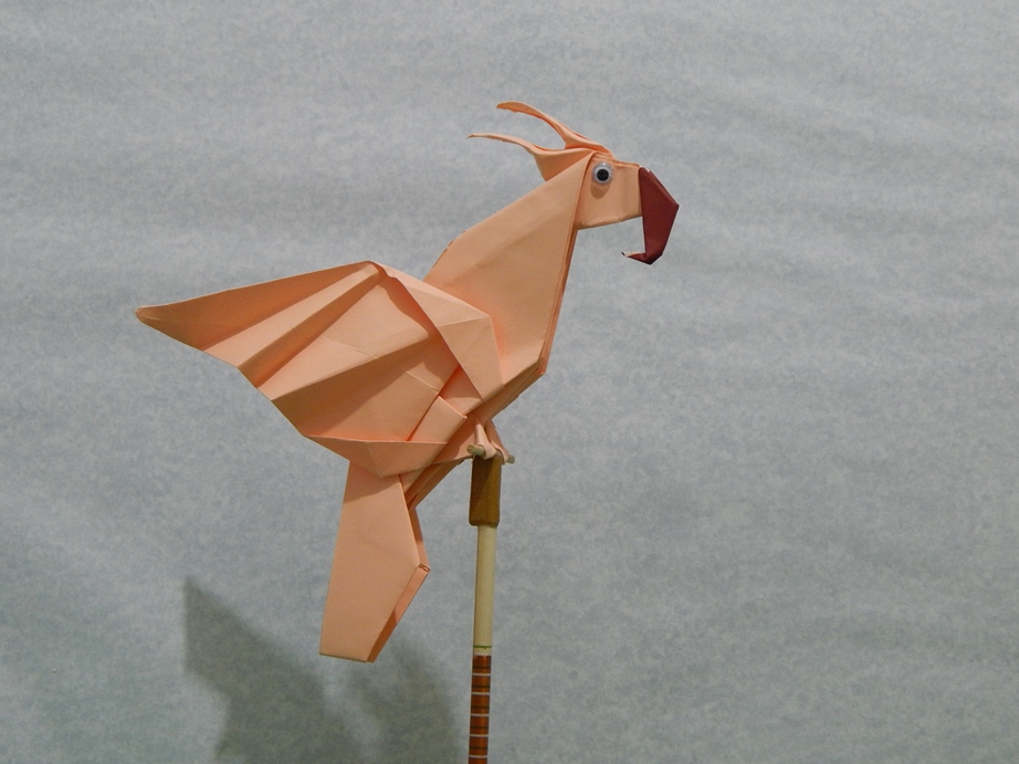 027_Cacatua