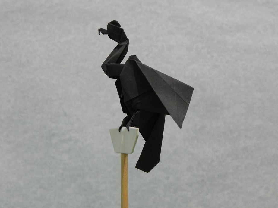 032_Condor