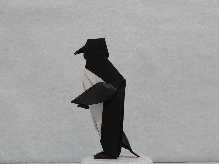 036_Pingüino