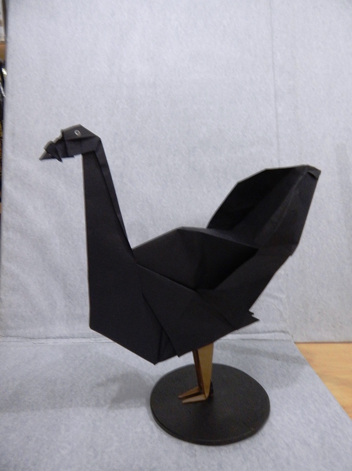 037_Guajolote