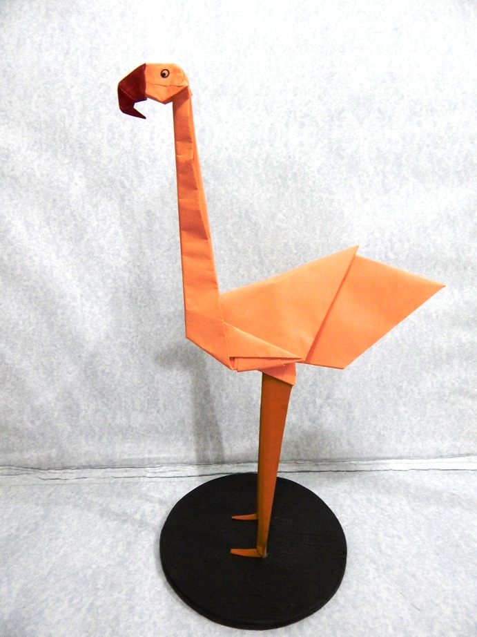 040_Flamingo