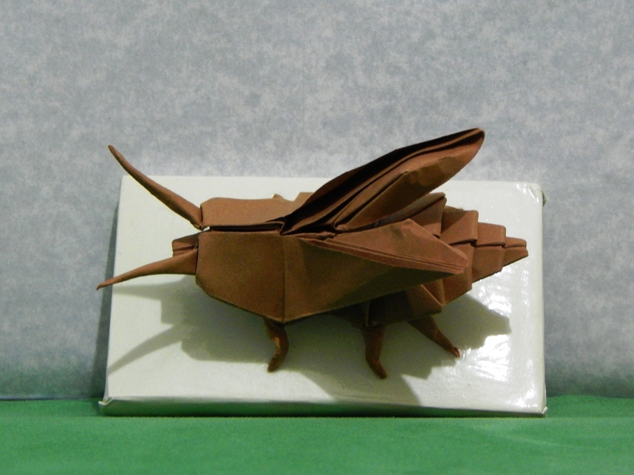 044_Escarabajo