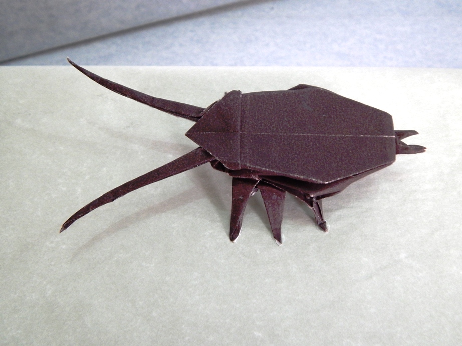 045_Cucaracha