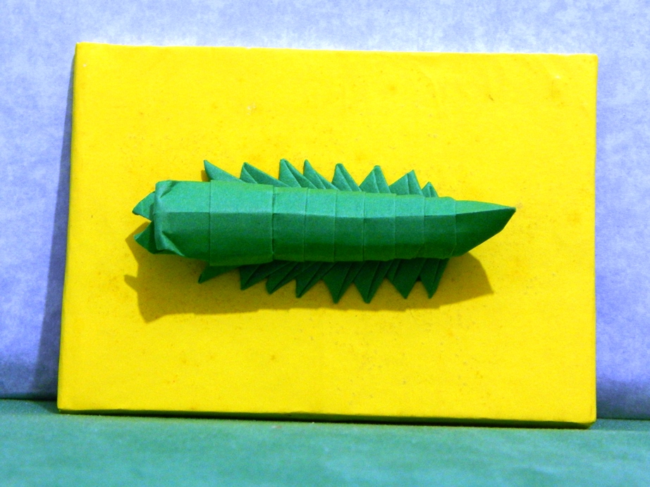 047_Oruga