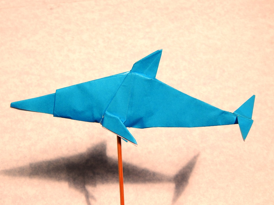 059_Delfin