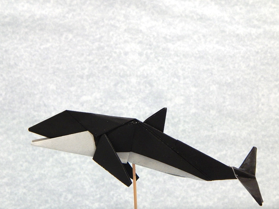 061_Orca
