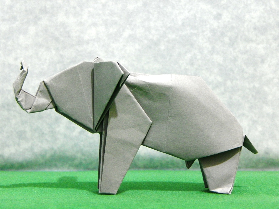 065_Elefante