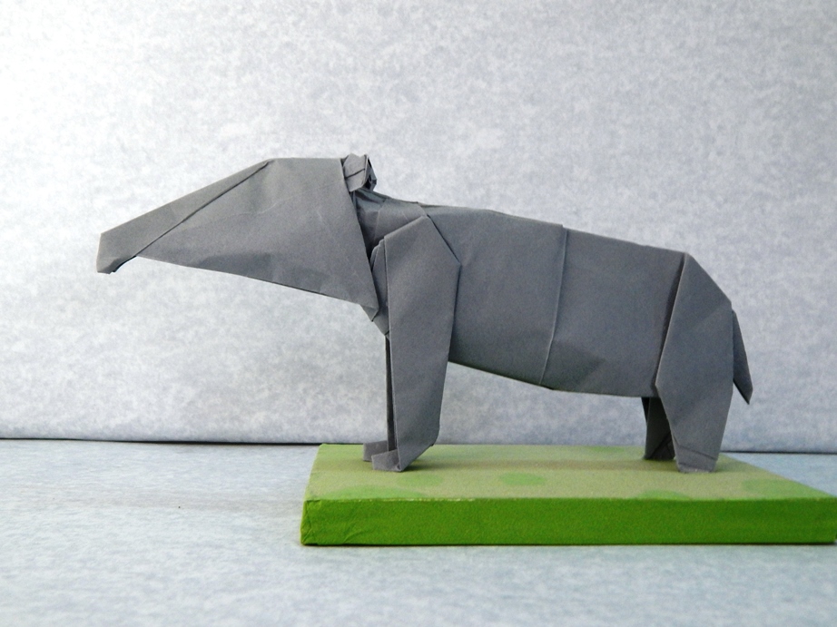 076_Tapir