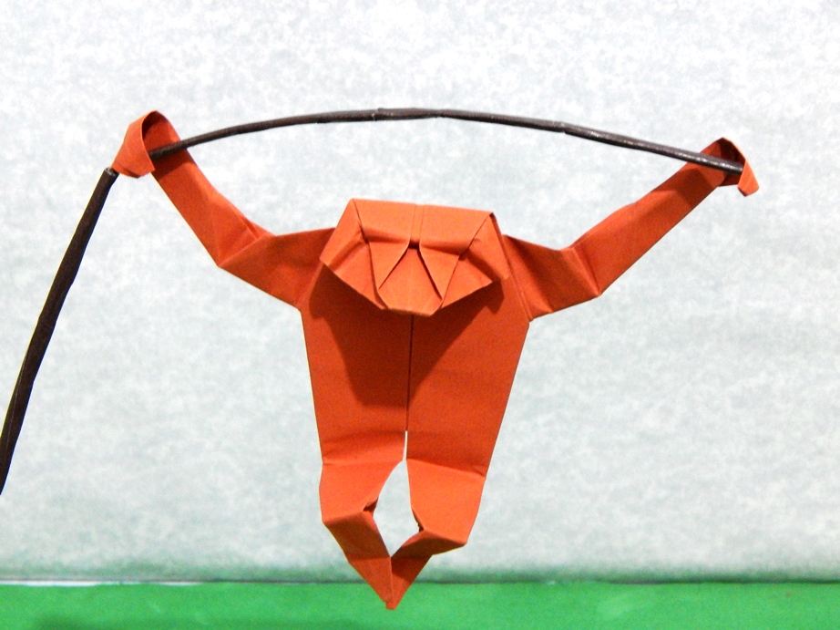081_Orangutan