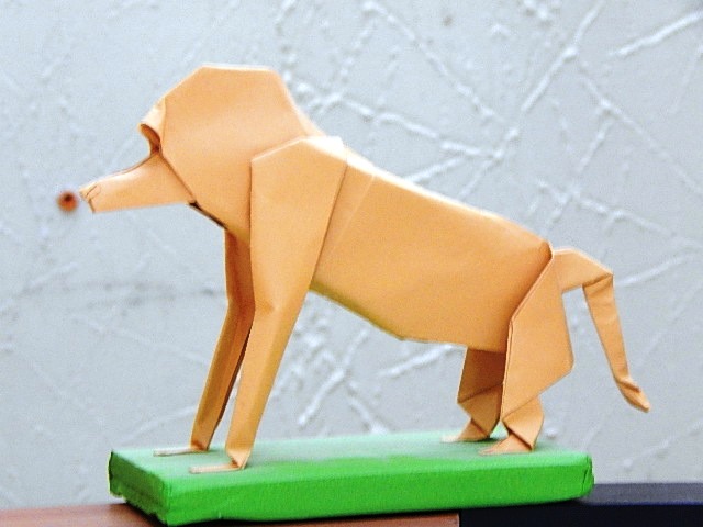 082_Papion
