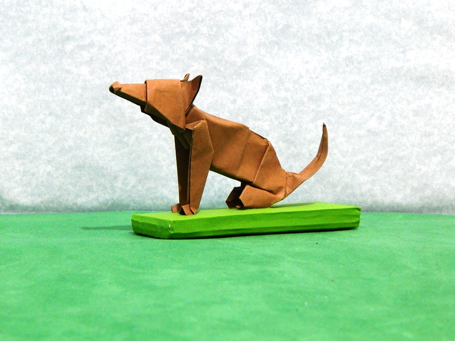 084_Lobo