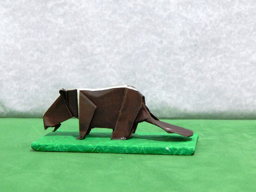 085_Castor