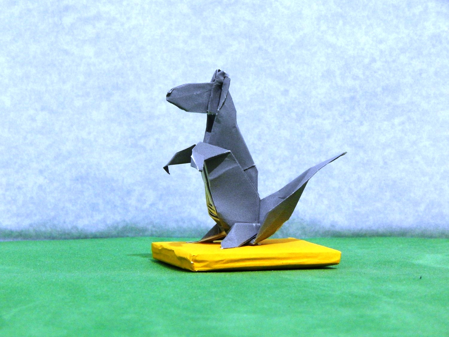 093_Ardilla