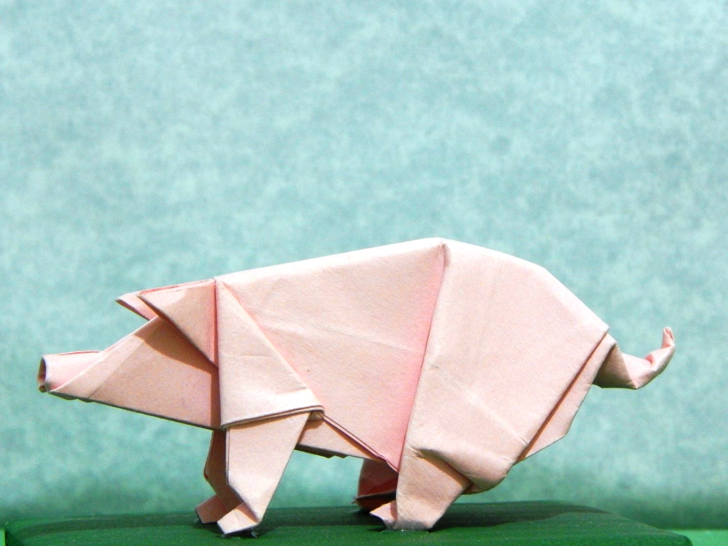 094_Cerdo