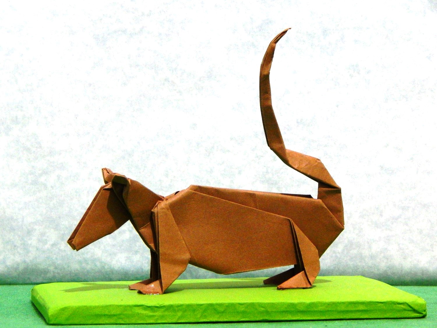 Zarigueya